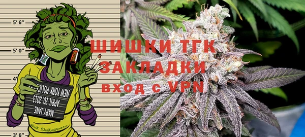 крисы Новокубанск
