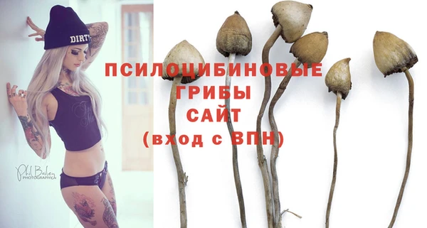 крисы Новокубанск