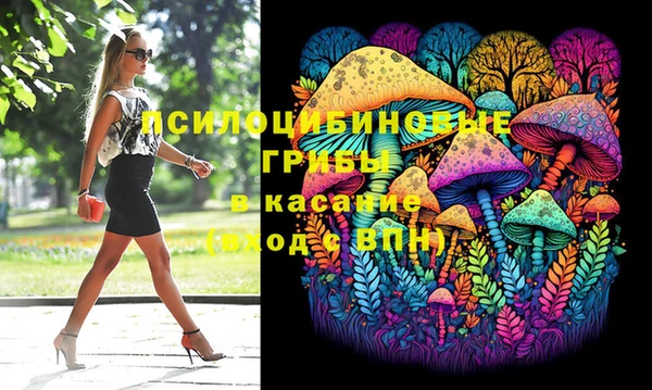 крисы Новокубанск