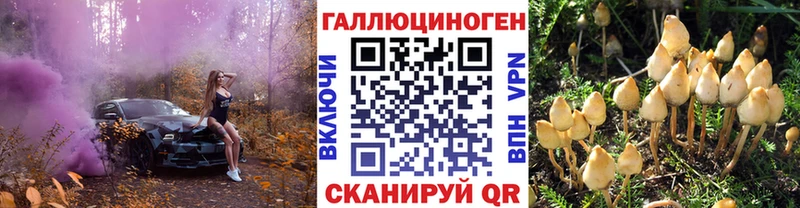мега как войти  Торжок  Галлюциногенные грибы мицелий 